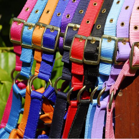 Foal Head Collar