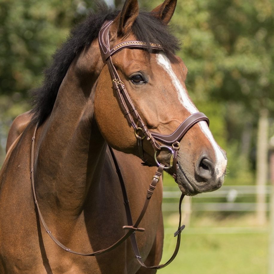 QHP Sedna Bridle - Elite Equestrian