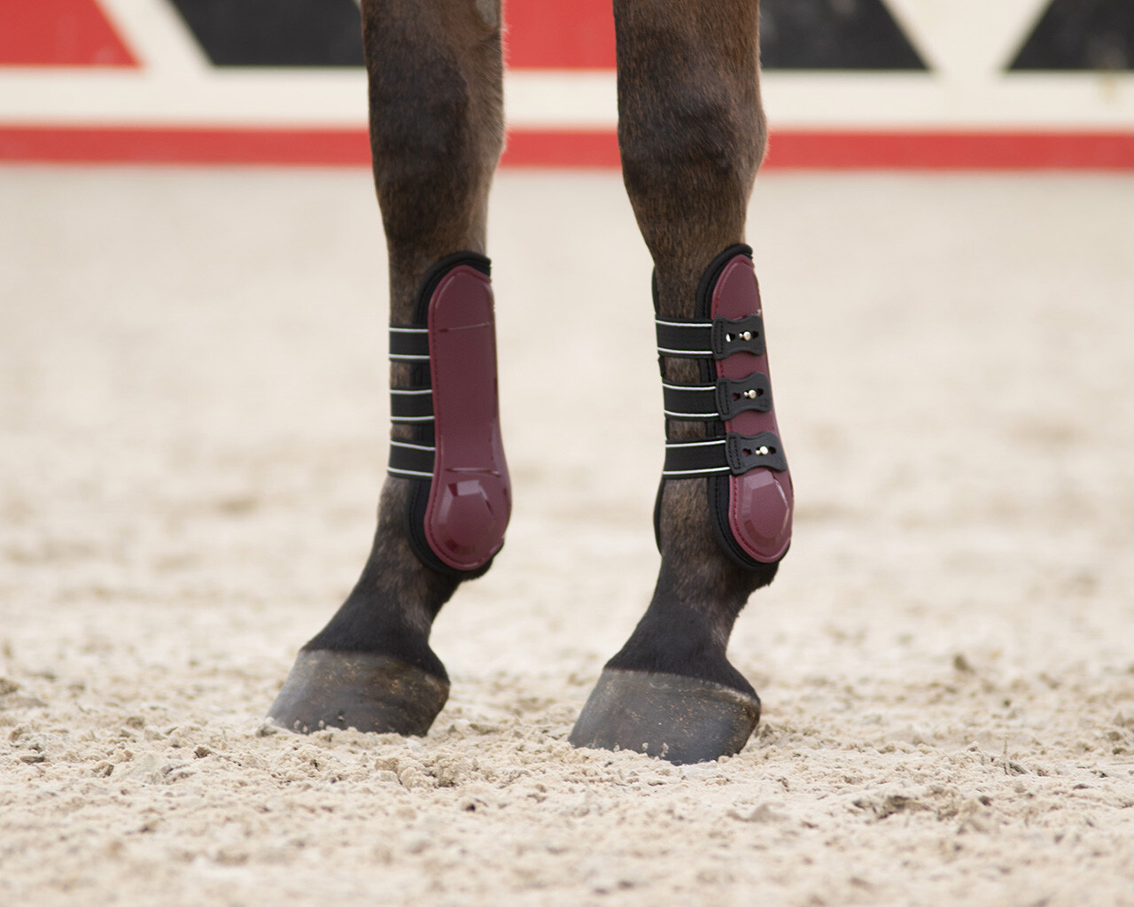 QHP Champion Tendon Boots - Elite Equestrian