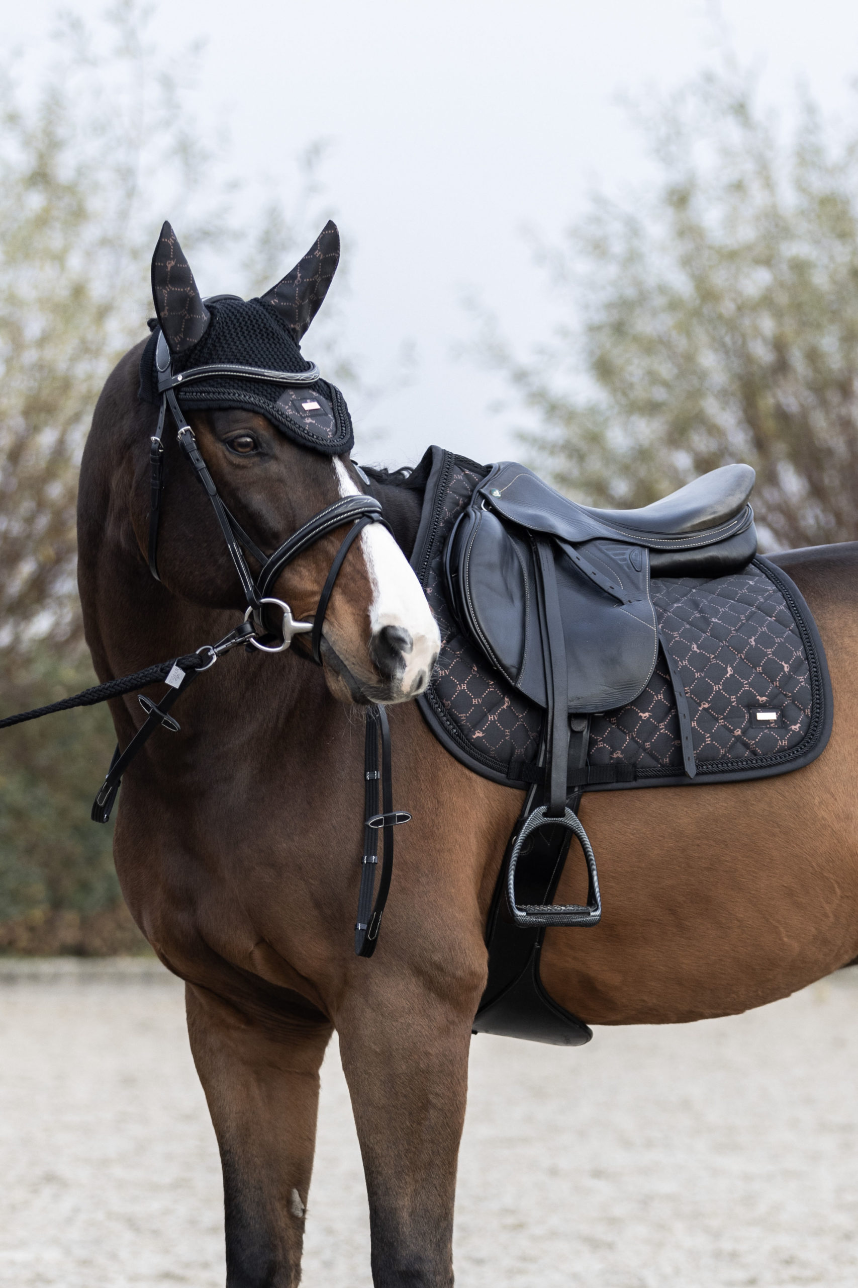 HV Polo Black and Rose Gold Saddle Pad - Elite Equestrian