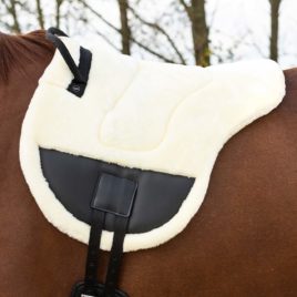 QHP Ontario Bareback Pad