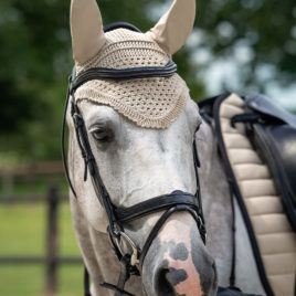 QHP Salerno Bridle