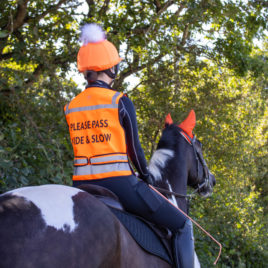 Woof Wear Hi Vis Riding Vest