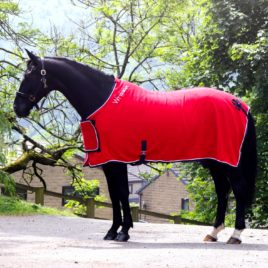 Whitaker Club Show Rug with Luxury Fluffy Lining