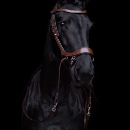 PresTeq FaySport Bitless Bridle