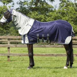 QHP Blue Fly Rug with Neck and Mask