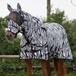 QHP Zebra Fly Rug with Neck and Mask